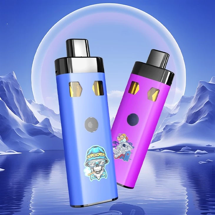 2G/4G/6G Green Time Empty Dual Tank AIO Disposable Vape Pen CBD/THC/HHC Dual Chamber Disposable Vape Device